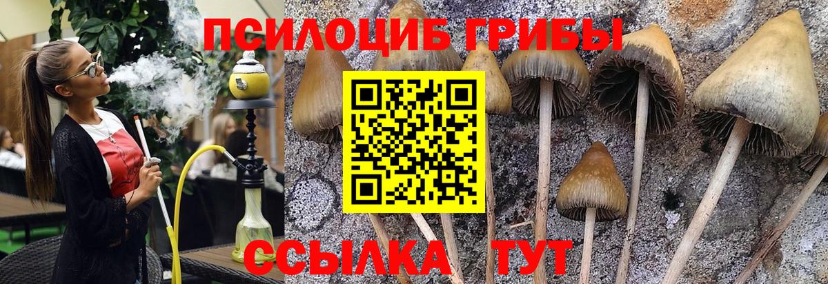 Псилоцибиновые грибы GOLDEN TEACHER  Вход с VPN  Новокубанск 