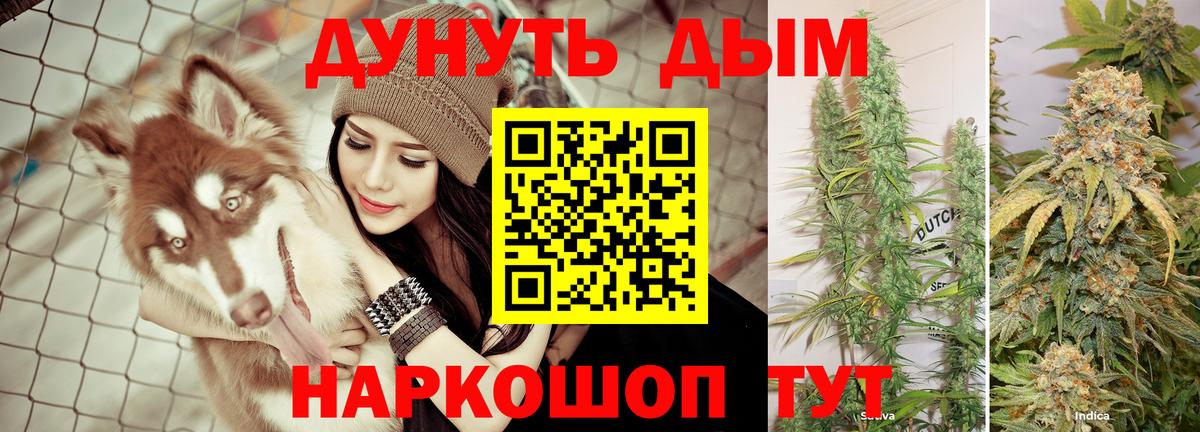 Шишки марихуана сатива Новокубанск